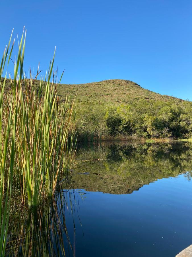 The Retreat At Groenfontein Calitzdorp Exteriör bild