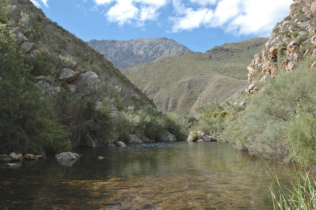 The Retreat At Groenfontein Calitzdorp Exteriör bild