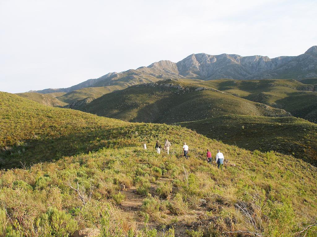 The Retreat At Groenfontein Calitzdorp Exteriör bild